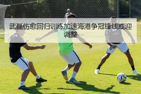 武磊伤愈回归训练加速海港争冠锋线或迎调整