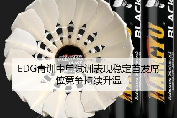 EDG青训中单试训表现稳定首发席位竞争持续升温